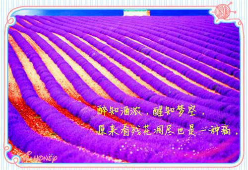 刚毕业舞蹈老师被和异性约会酒店 艺术生柔软身材太顶 两人的运动到男主直呼受不了