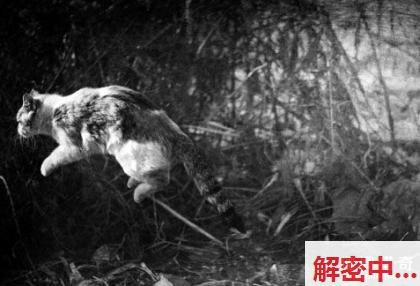 抖音在在吗付费福利流出 眼镜专属小开心紧身裙湿身自己摆弄自己 个人秘密大尺度福利