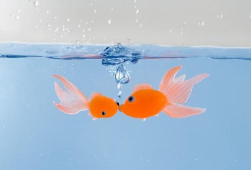 2606060335516951.jpg