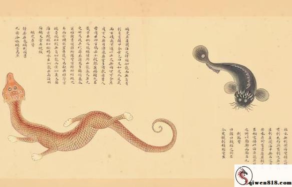 2606060748343451.jpg