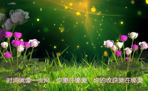 超牛大神 一只大美女 言语沟搭高端外围美女下海直播 妩妩媚艳模特暧昧暧昧摩擦感情加热全纪录