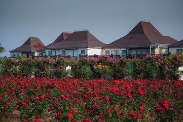 2606111033312581.jpg