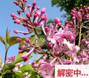 新风情满满贴吧之际第一次小剧情接触的人情侣自己留下的画面特辑 13位不同类型的情侣自己留下的画面视频 一次性看个够