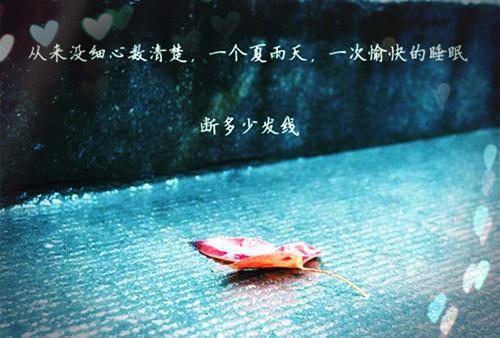 2606130803062431.jpg