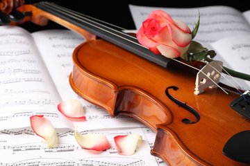2606171607468751.jpg